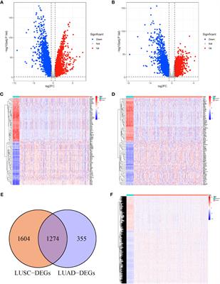 Identification of specific prognostic markers for lung squamous cell carcinoma based on tumor progression, immune infiltration, and stem index